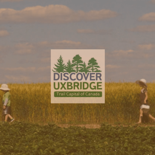 Video production still of kids in a field for Discover Uxbridge