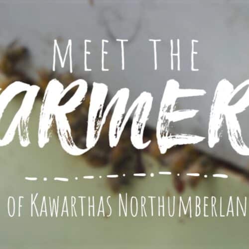 Meet the Farmers of Kawarthas Northumberland logo
