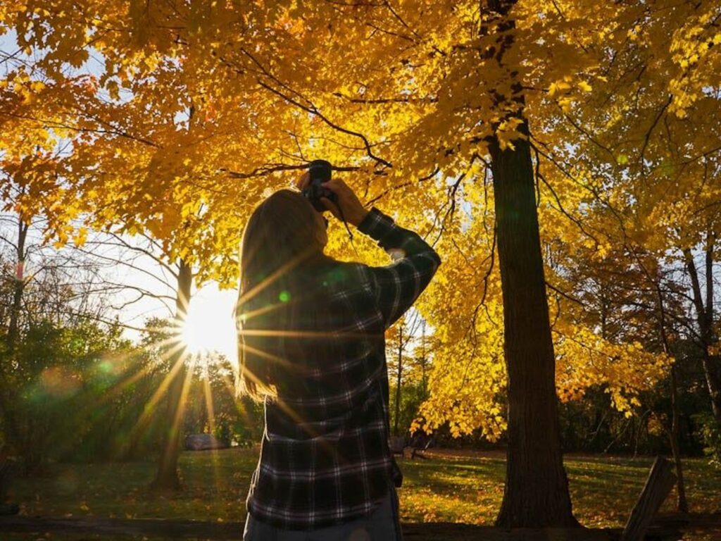 Hiker on a fall trail