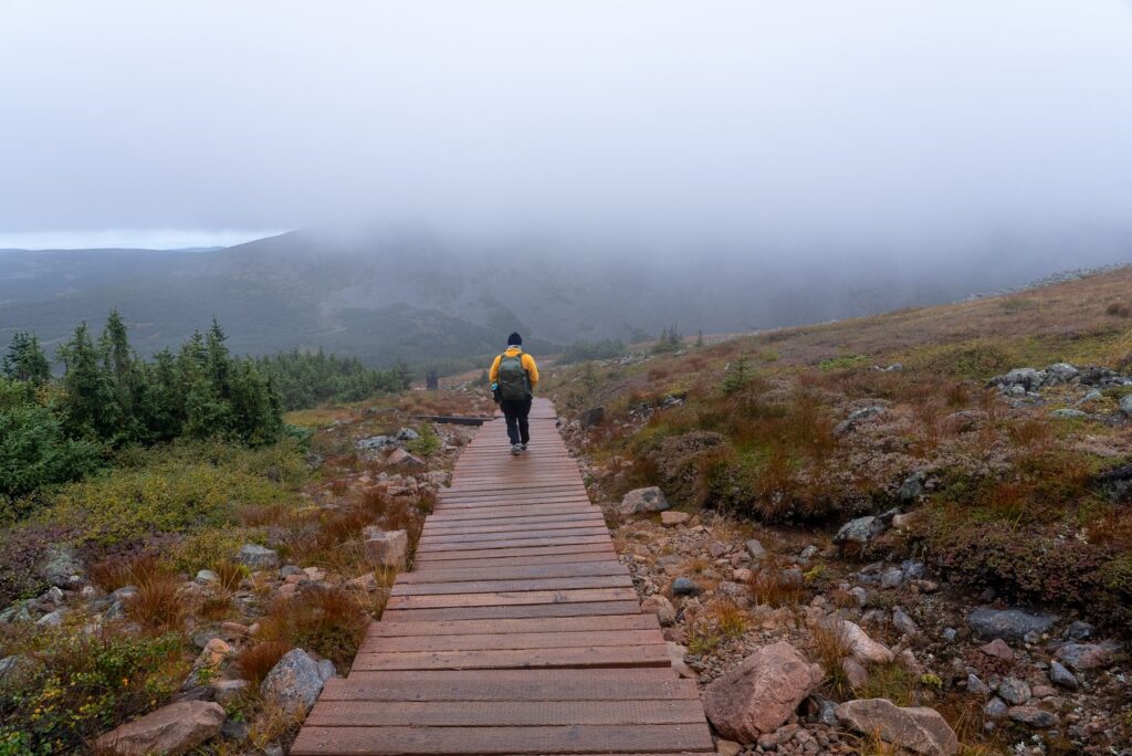 Hiker on a wooden boardwalk through misty rocky terrain