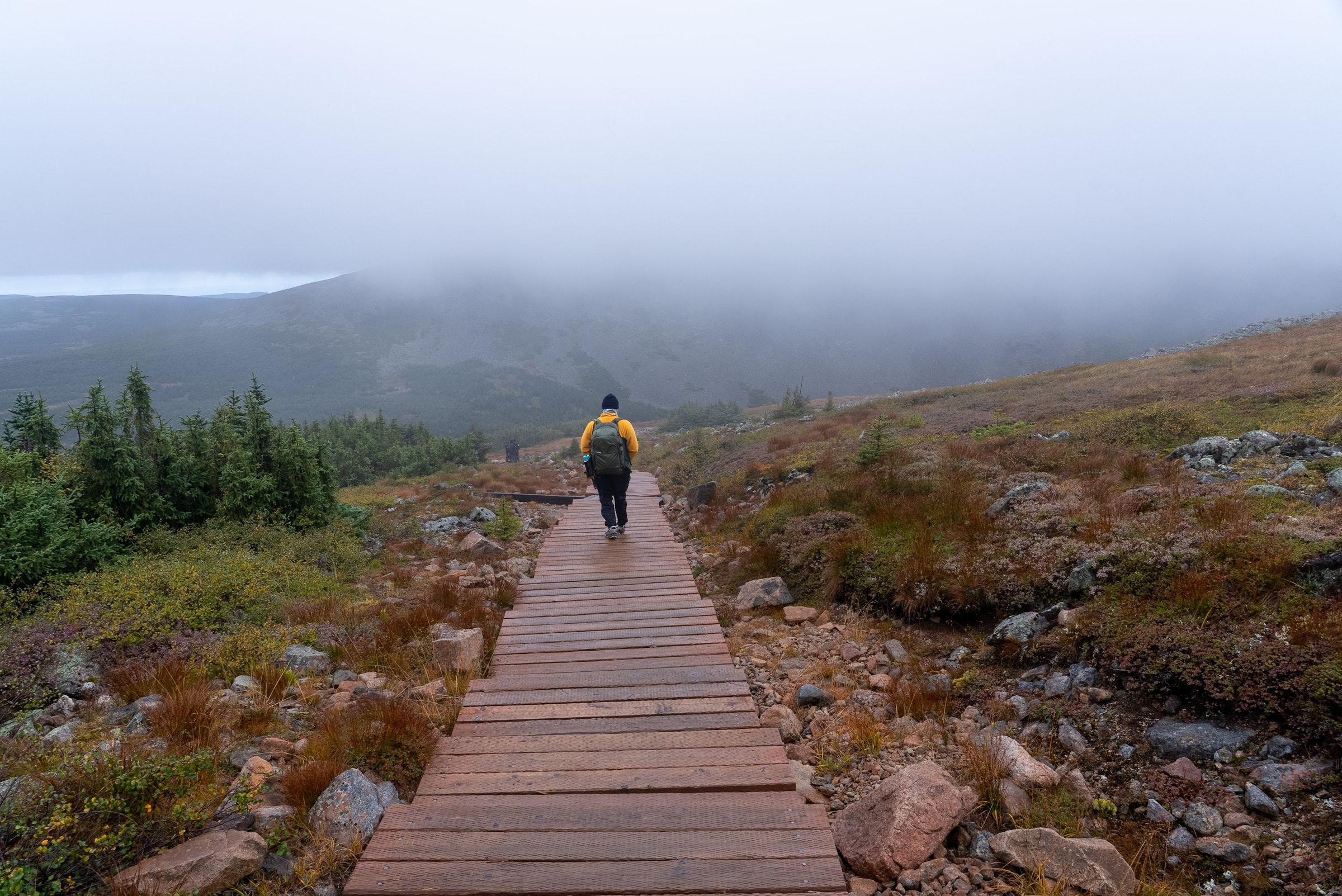 Hiker on a wooden boardwalk through misty rocky terrain