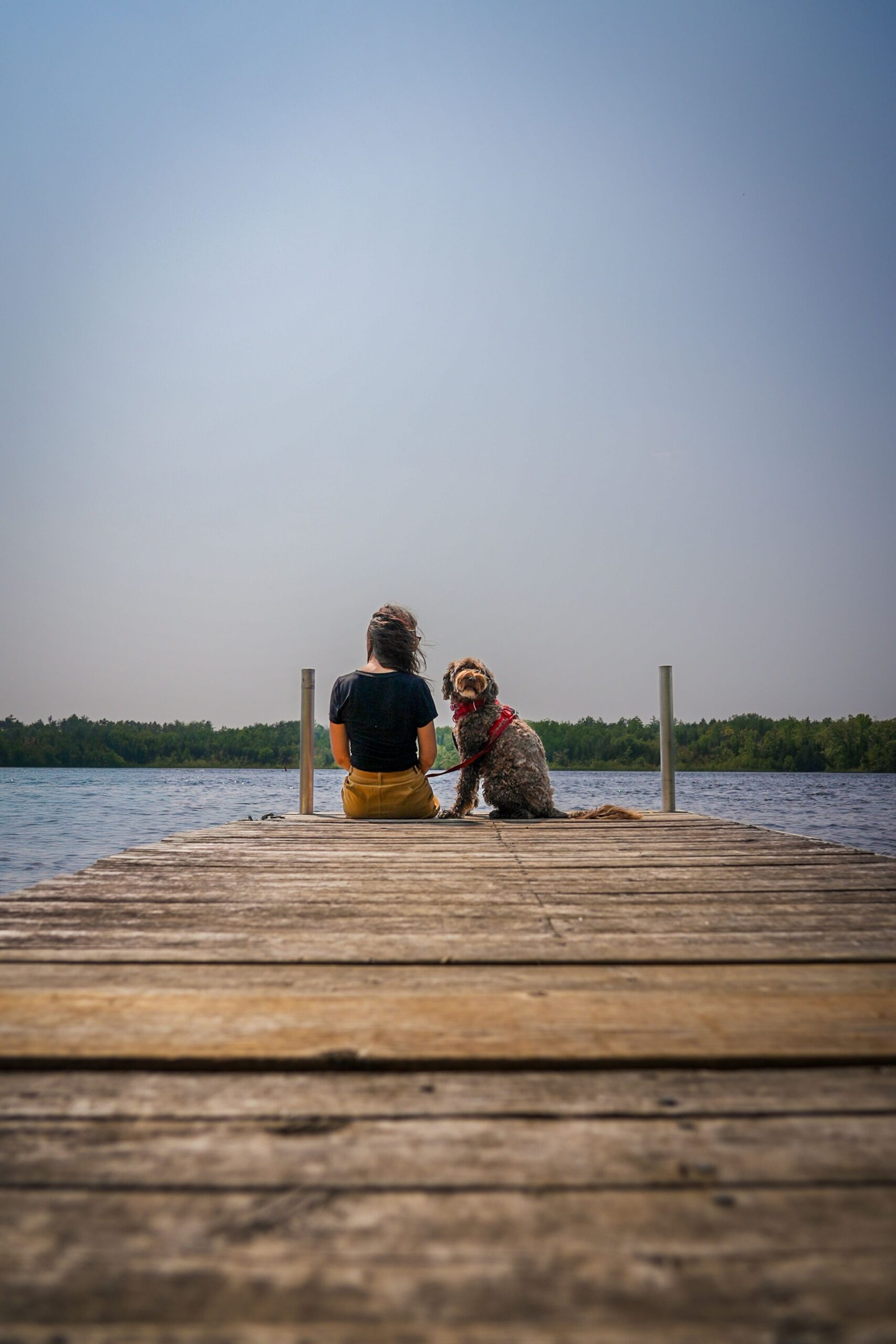 Person and dog sitting at the end of a dock looking out over a calm lake