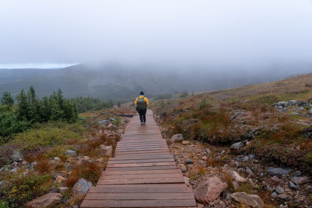 Hiker on a wooden boardwalk winding through rocky coastal terrain in the fog