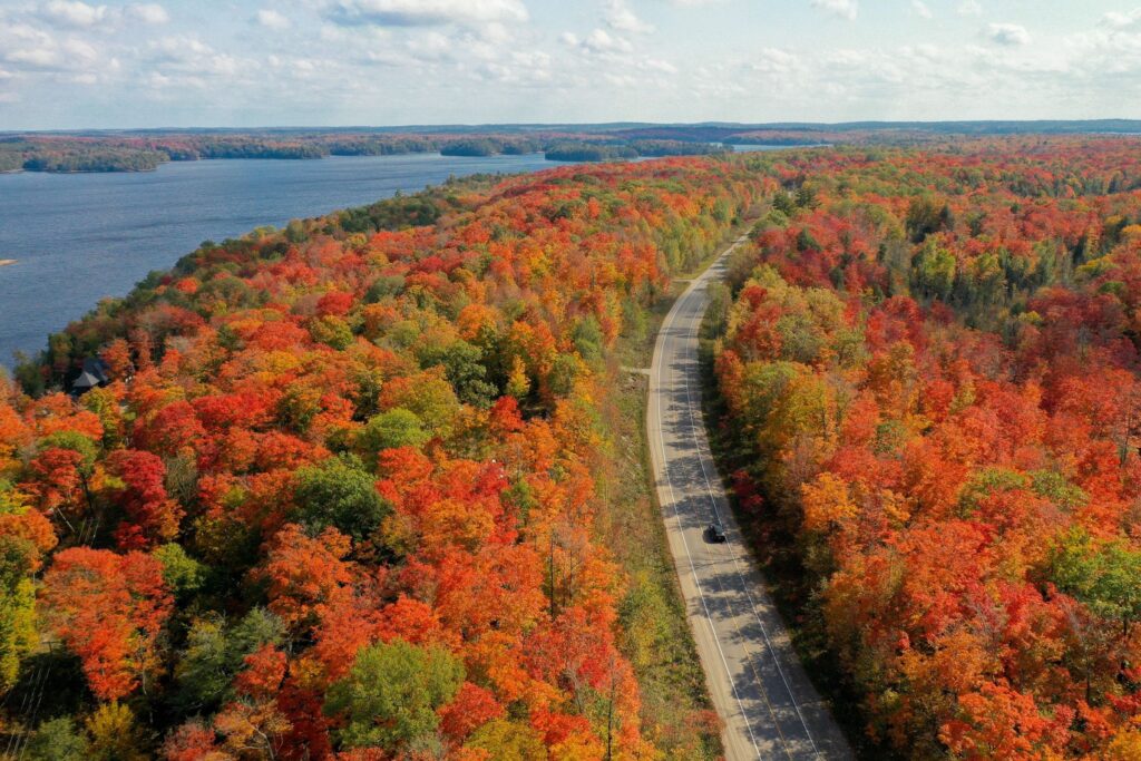 Aerial view of a road through bright fall colours
