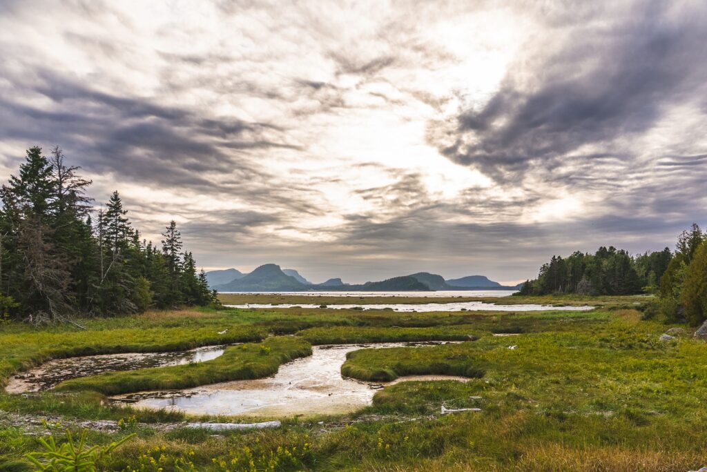River winding through green marshland under a dramatic sky
