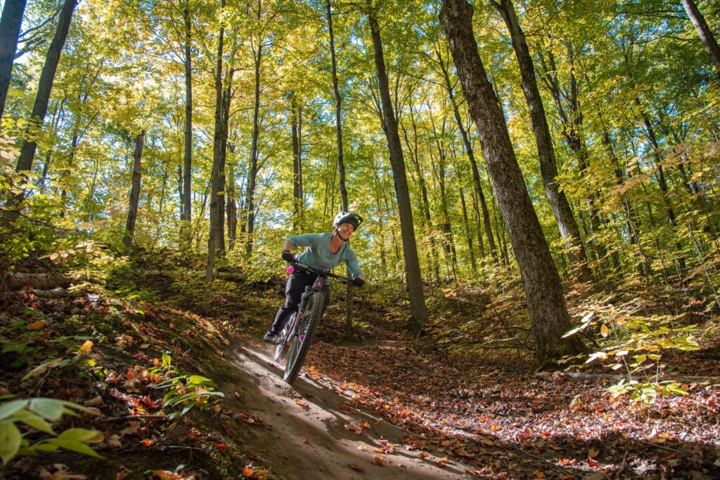 Mountain biker on a forest trail in fall