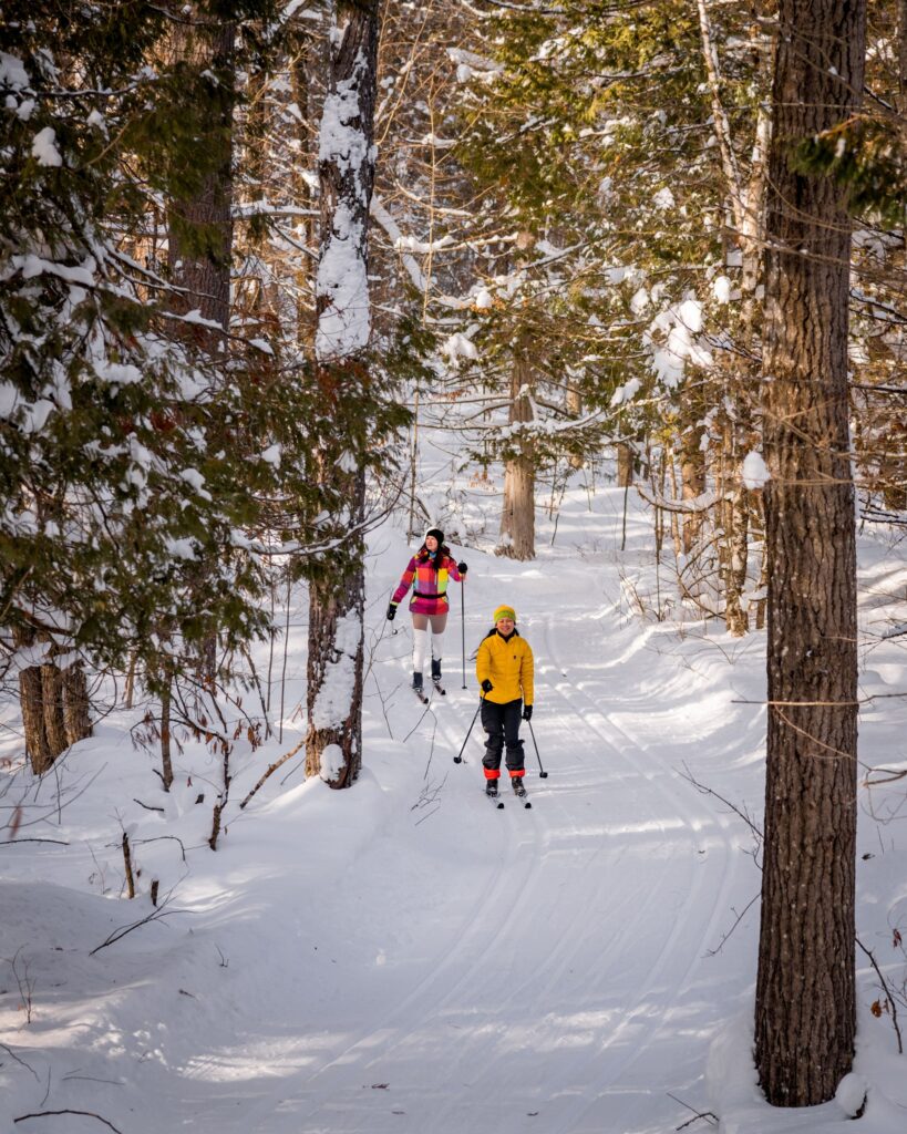 Two people cross-country skiing through a snowy forest
