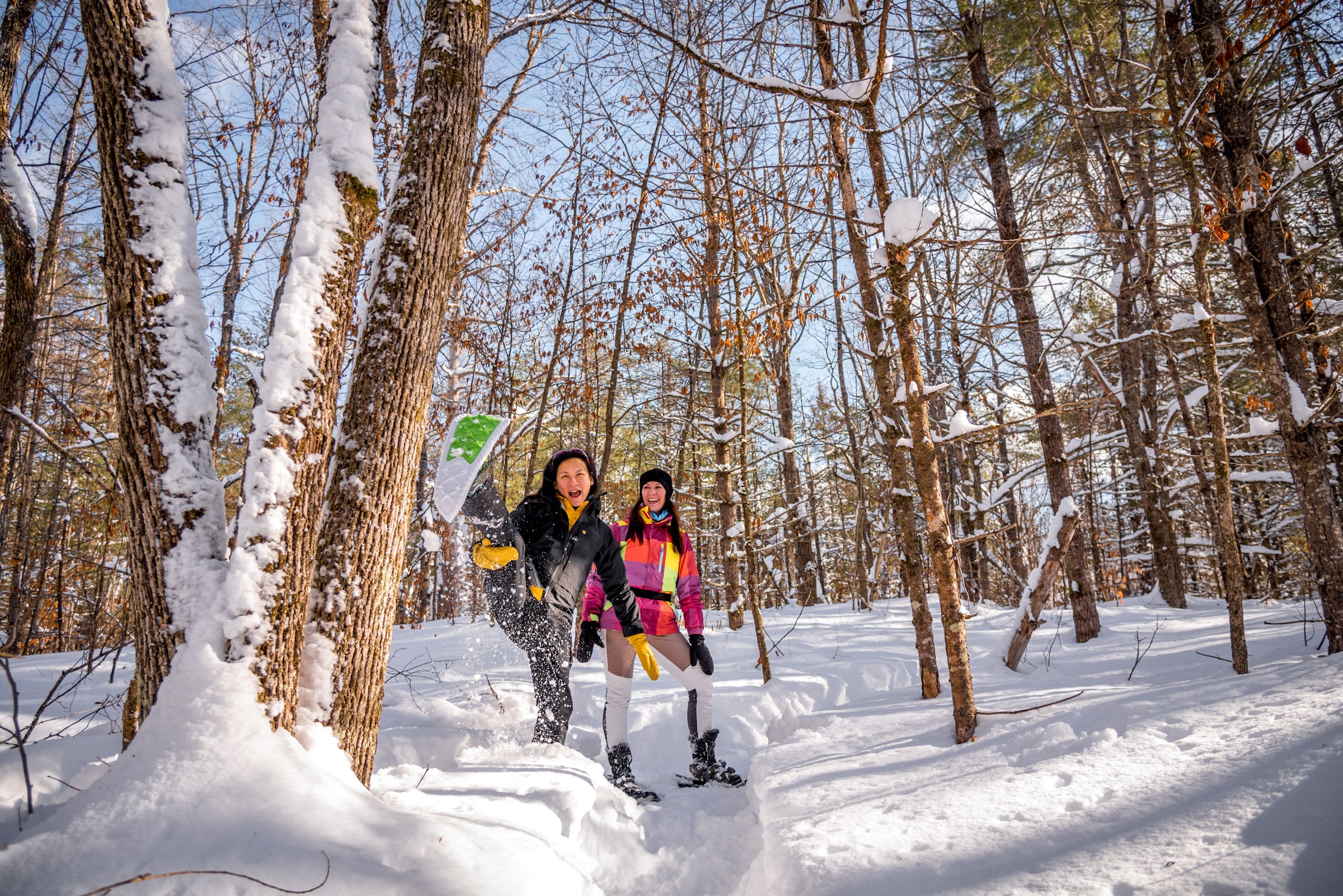 Two people walking through a snowy birch forest